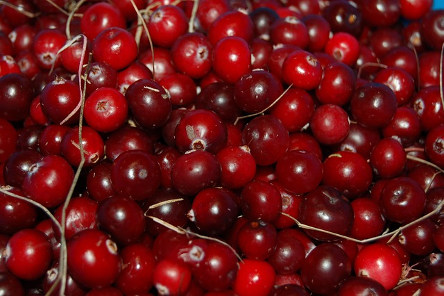 Cranberry