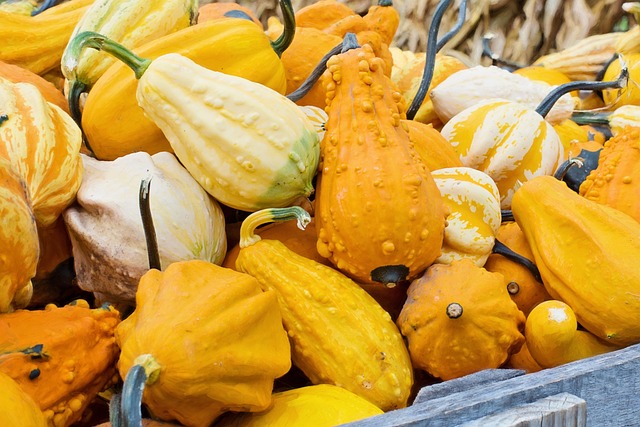 Summer Squash